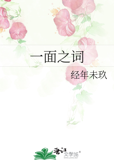 一面之词
